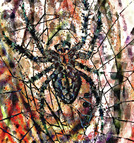 File:Cage.png